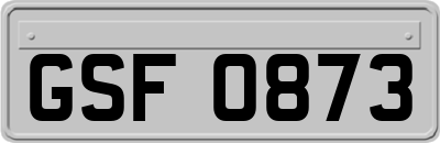 GSF0873