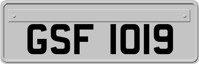 GSF1019