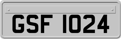 GSF1024