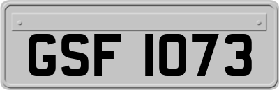 GSF1073