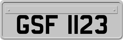 GSF1123