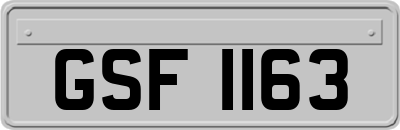 GSF1163