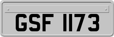 GSF1173
