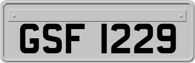 GSF1229