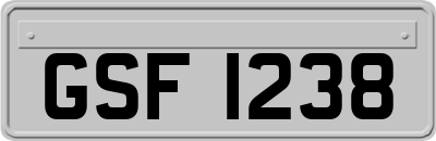 GSF1238