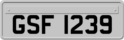 GSF1239