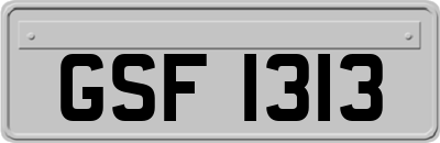GSF1313