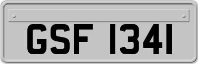 GSF1341