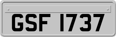 GSF1737