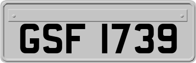 GSF1739