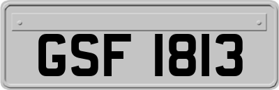 GSF1813