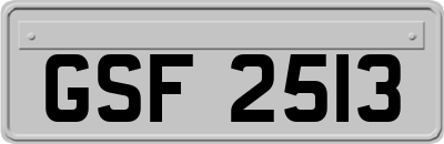 GSF2513
