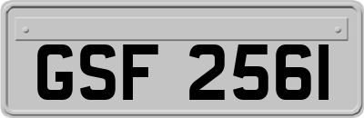 GSF2561