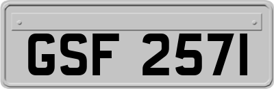 GSF2571