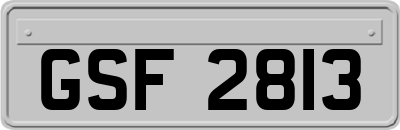 GSF2813
