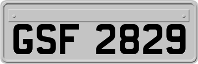 GSF2829