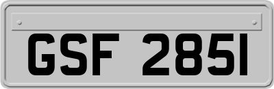 GSF2851