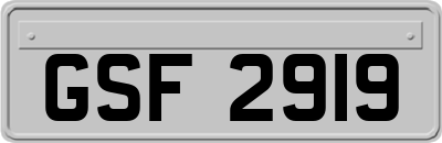 GSF2919