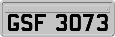 GSF3073