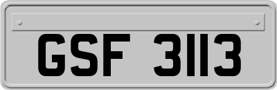 GSF3113