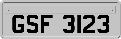 GSF3123