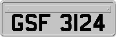 GSF3124