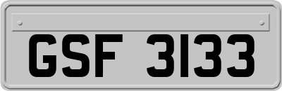 GSF3133