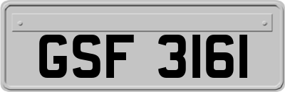 GSF3161