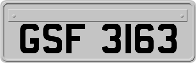 GSF3163