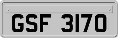 GSF3170