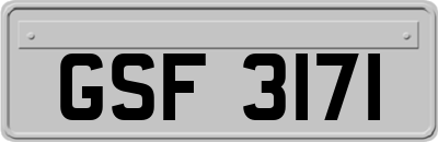 GSF3171