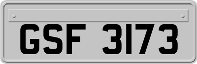 GSF3173