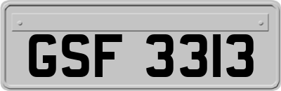 GSF3313