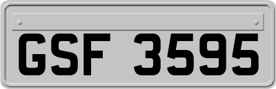 GSF3595