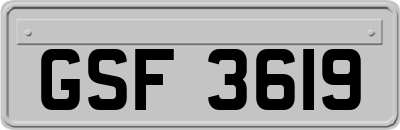 GSF3619