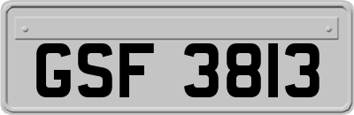 GSF3813