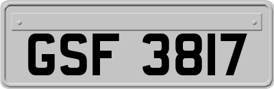 GSF3817