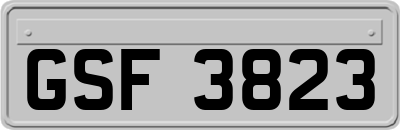 GSF3823
