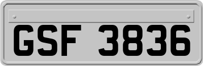 GSF3836
