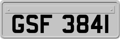GSF3841