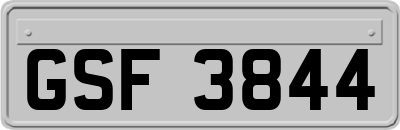 GSF3844