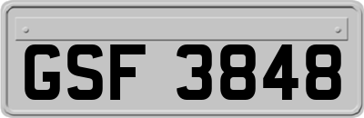 GSF3848