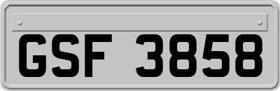 GSF3858