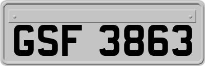 GSF3863