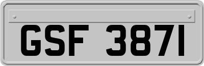GSF3871