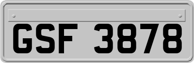 GSF3878