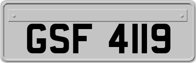 GSF4119