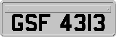 GSF4313