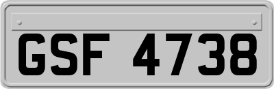 GSF4738