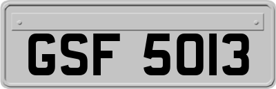 GSF5013
